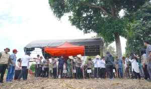 3045d964-96fd-45fd-8b4e-49f589f92285