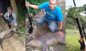 senapan angin terbaik