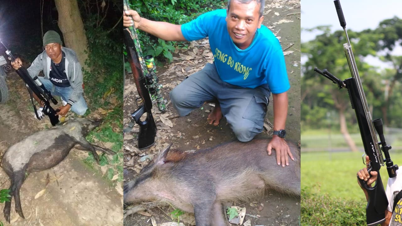 senapan angin terbaik